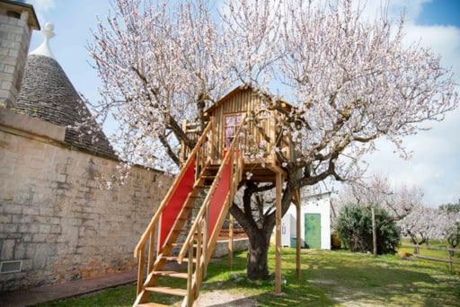 Ogród w obiekcie Trulli