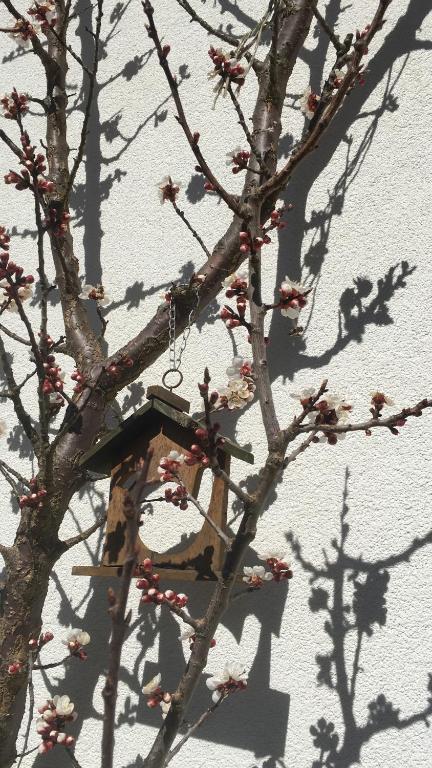 Appartement Emilia v zime