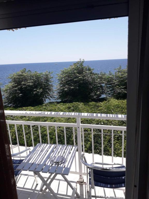 Příroda nedaleko hotelu