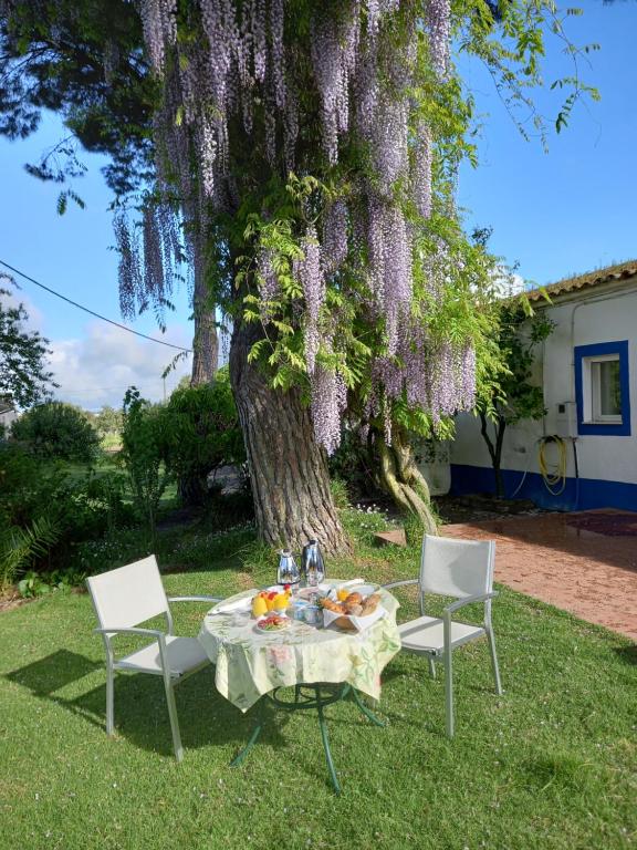 Monte Da Serralheira Agro Turismo - 4