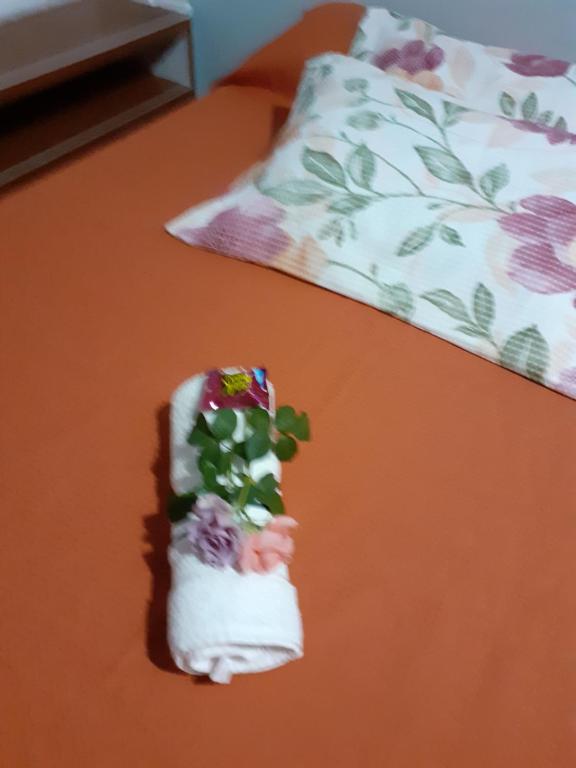  loft harmonia