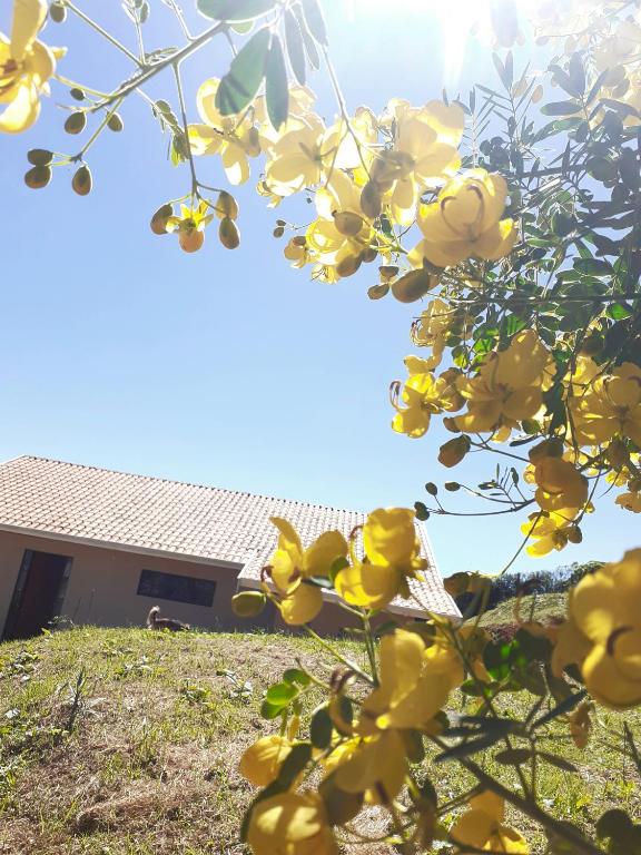  Casa Alto da Serra