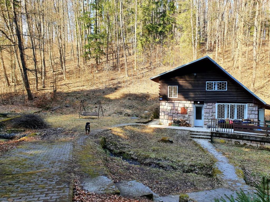 a small cabin in the middle of a forest at Horska Chata v Srdci Kremnických Hôr in Banská Bystrica