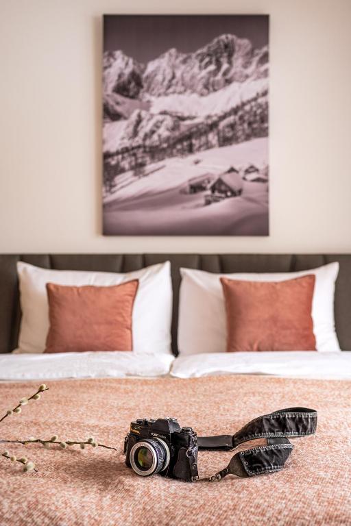 Alpin Residenz Dachsteinperle - 3