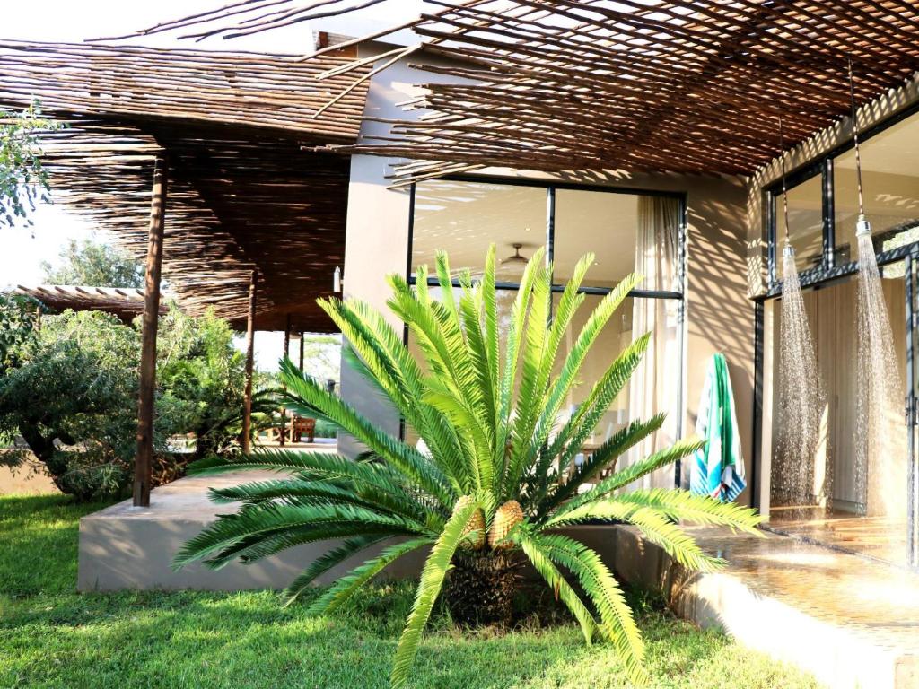 a palm tree in front of a house at Sensiri Plains Safari Lodge in Mkuze