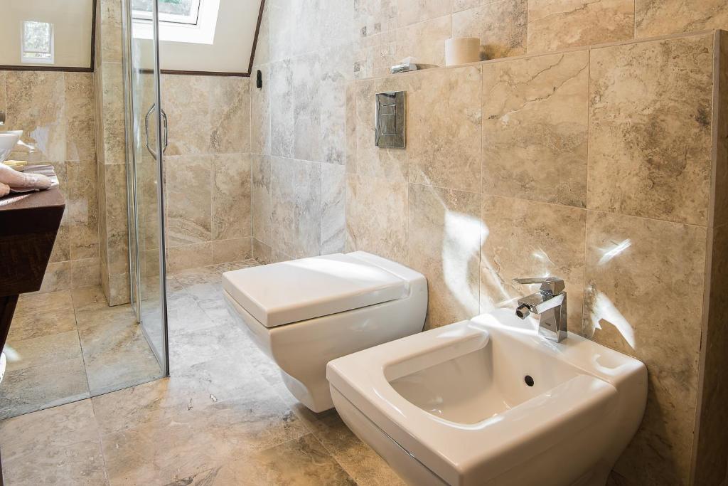 Ioana Boutique Hotel - Resim 5