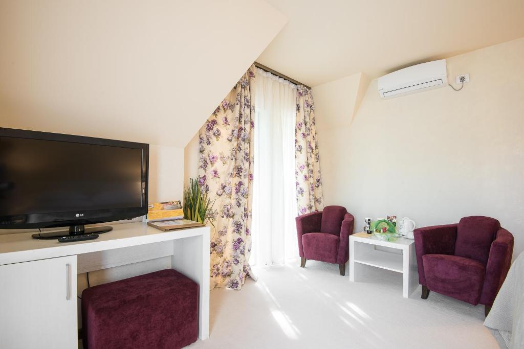 Ioana Boutique Hotel - Resim 6