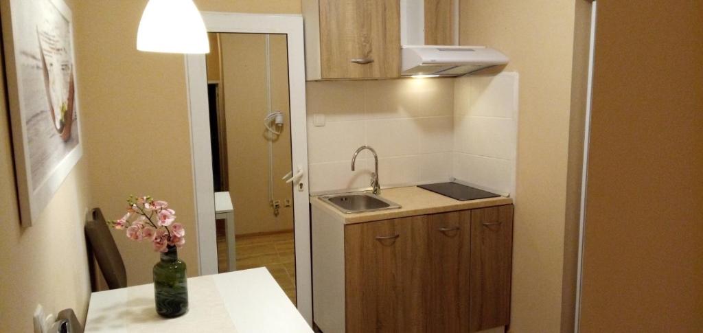 Kuchyň nebo kuchyňský kout v ubytování Benita Inn apartments