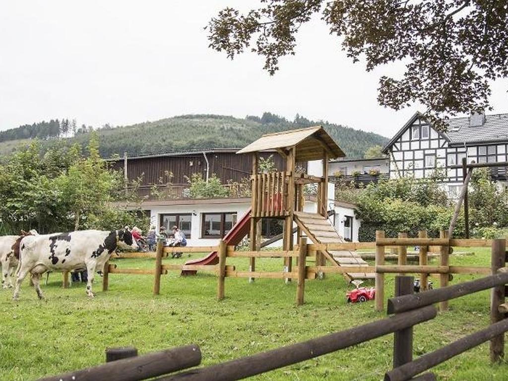 a playground in a field with two cows in the grass at Ferienbauernhof Gördes in Schmallenberg
