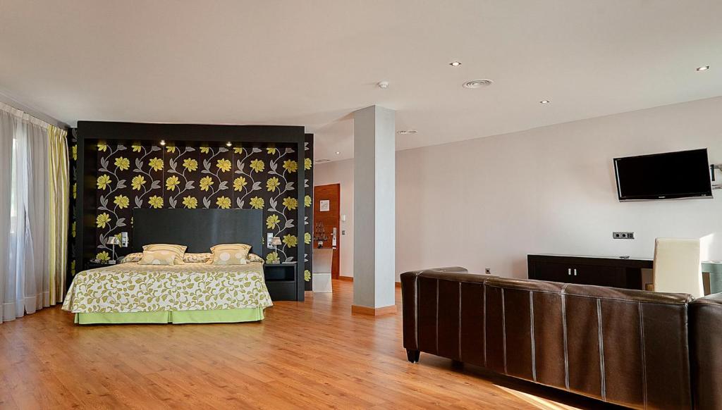 TV a/nebo společenská místnost v ubytování Hotel Campos de Baeza