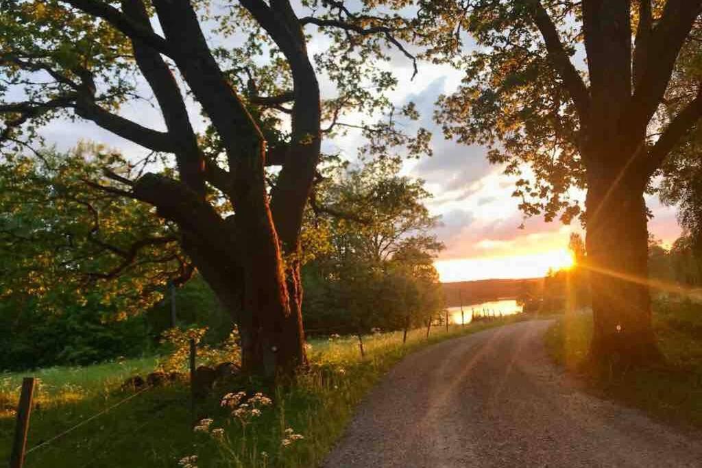a dirt road with a tree and the sunset at Sommarstugan in Äspered