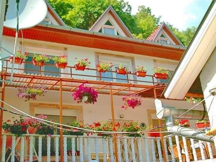a house with potted plants on the balcony at Pensiunea Ca La Mama Acasa in Reşiţa