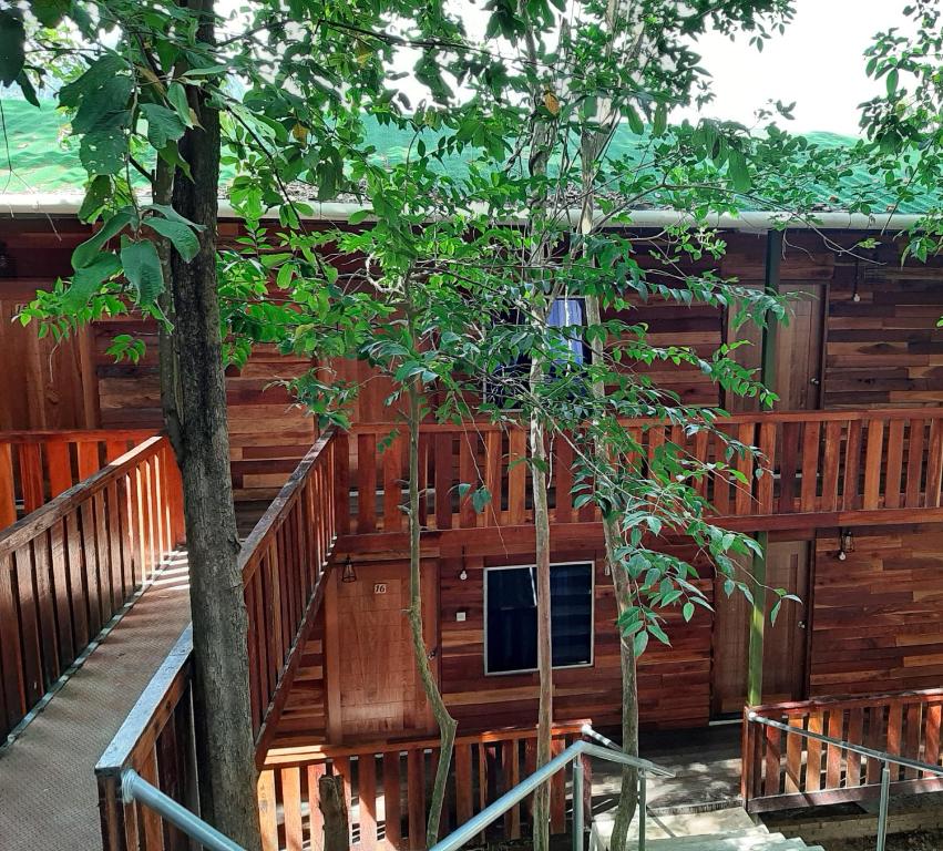 Utan Teluk Nipah - Standard King Room