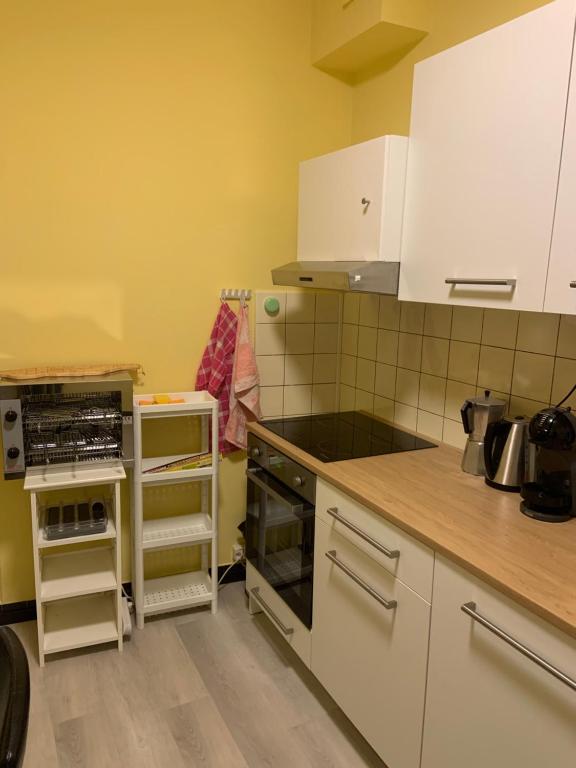 Kuchyň nebo kuchyňský kout v ubytování CASA DOYA - Appartamento vintage