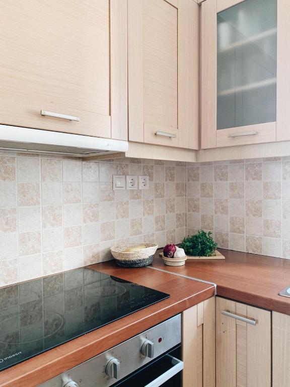 Kuchyň nebo kuchyňský kout v ubytování Maisonette San Tosa