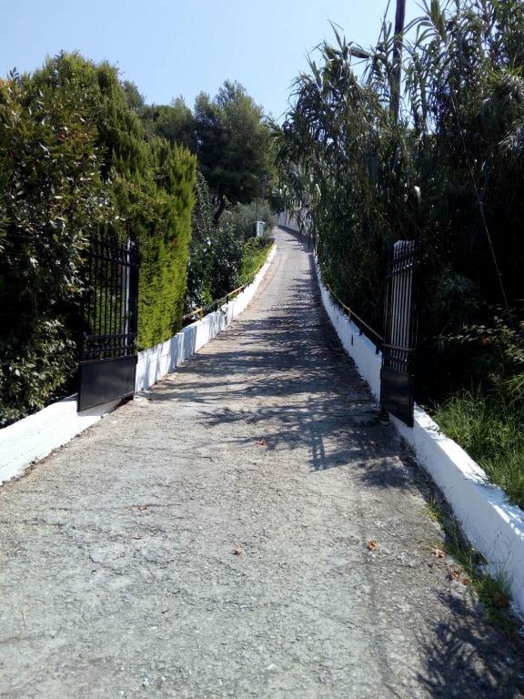 Fotografie z fotogalerie ubytování Villa Xanthippi v destinaci Agia Paraskevi
