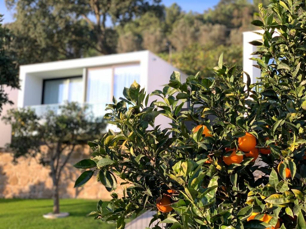 Um jardim no exterior de Portovella Lodges & Bungalows