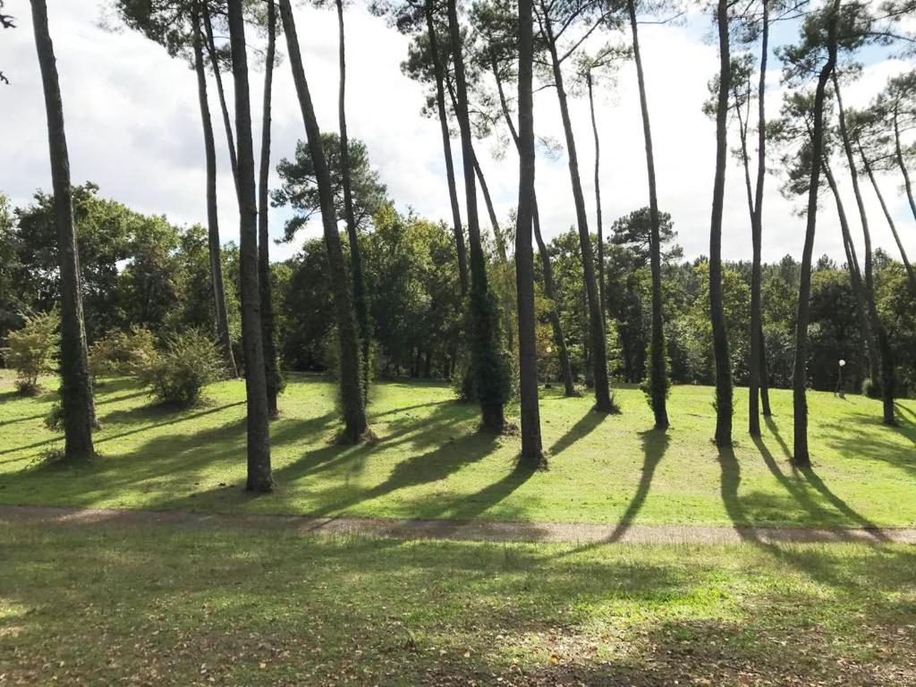 un groupe de palmiers dans une prairie dans l'établissement Camping du Val de l'Eyre, à Salles