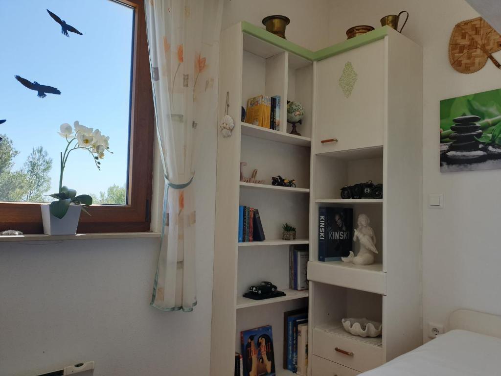 Fotografia z galérie ubytovania 209 Zavala Ferienwohnung v destinácii Zavala