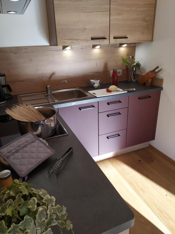 Kuchyň nebo kuchyňský kout v ubytování Apartments Ban Guggugg
