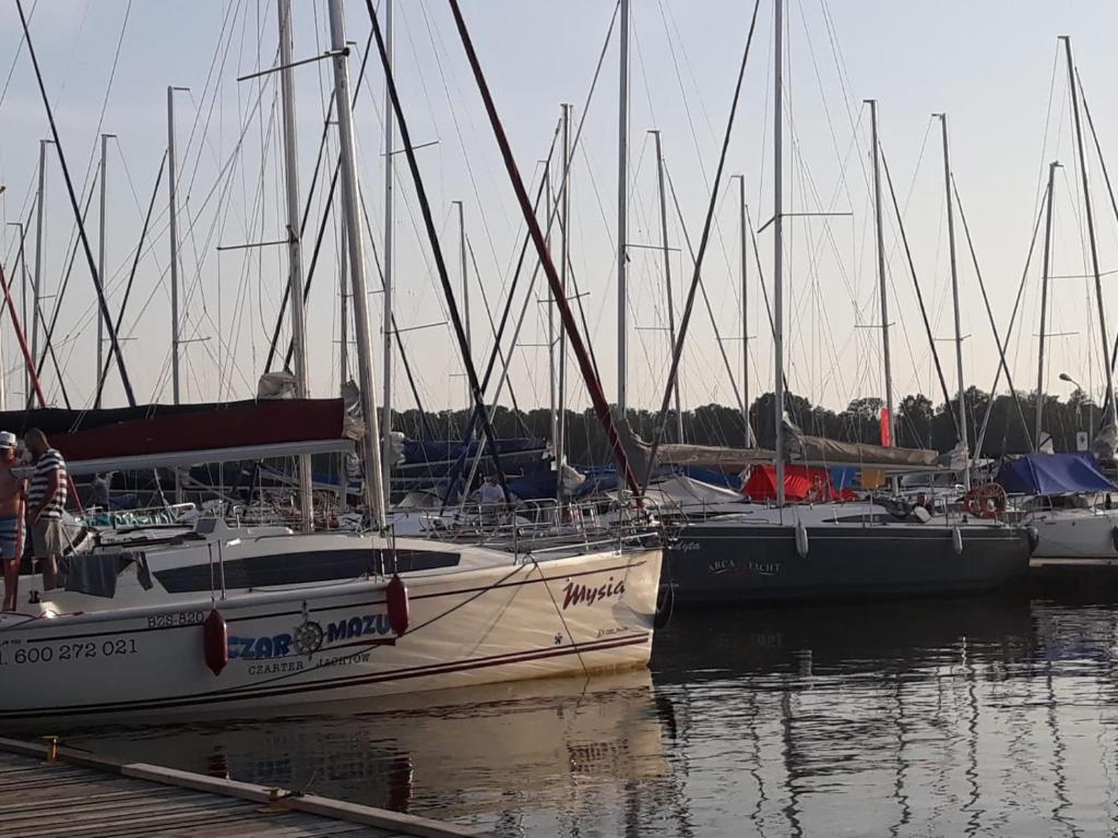 Príroda v okolí apartmánu