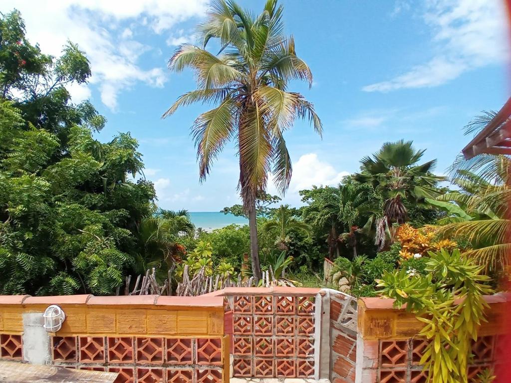  Casa da Lua