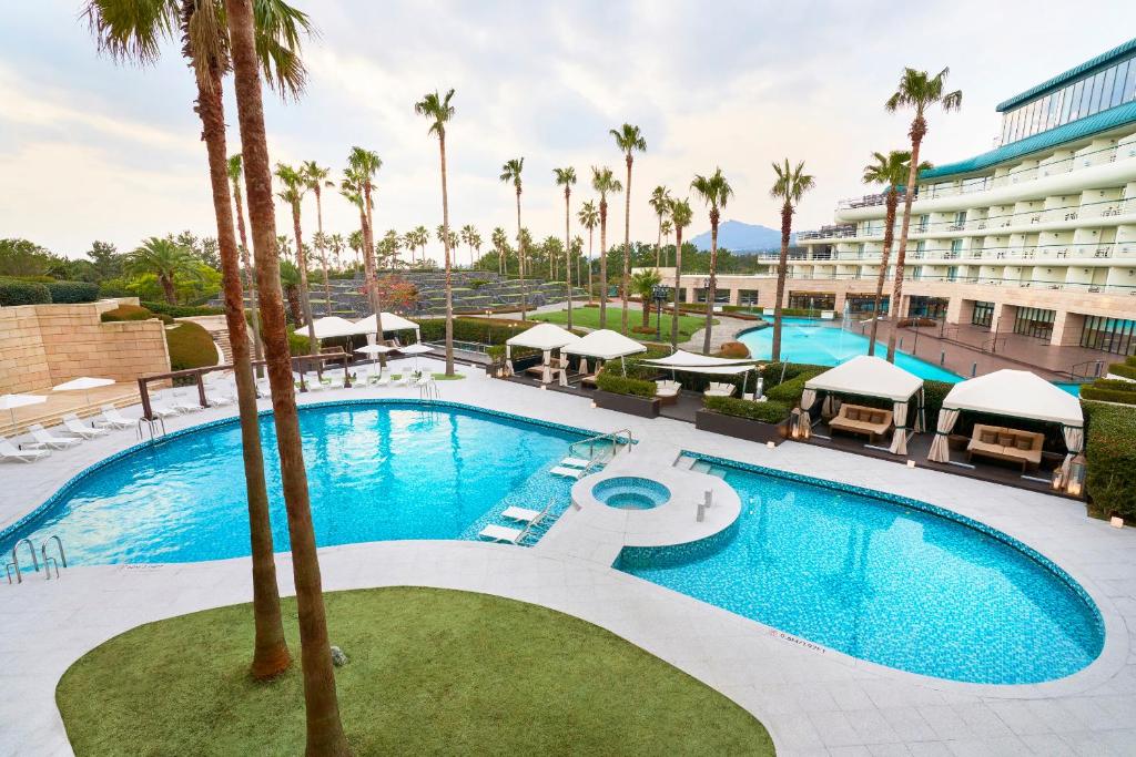 an overhead view of the pool at a resort with palm trees at Grand Josun Jeju in Seogwipo