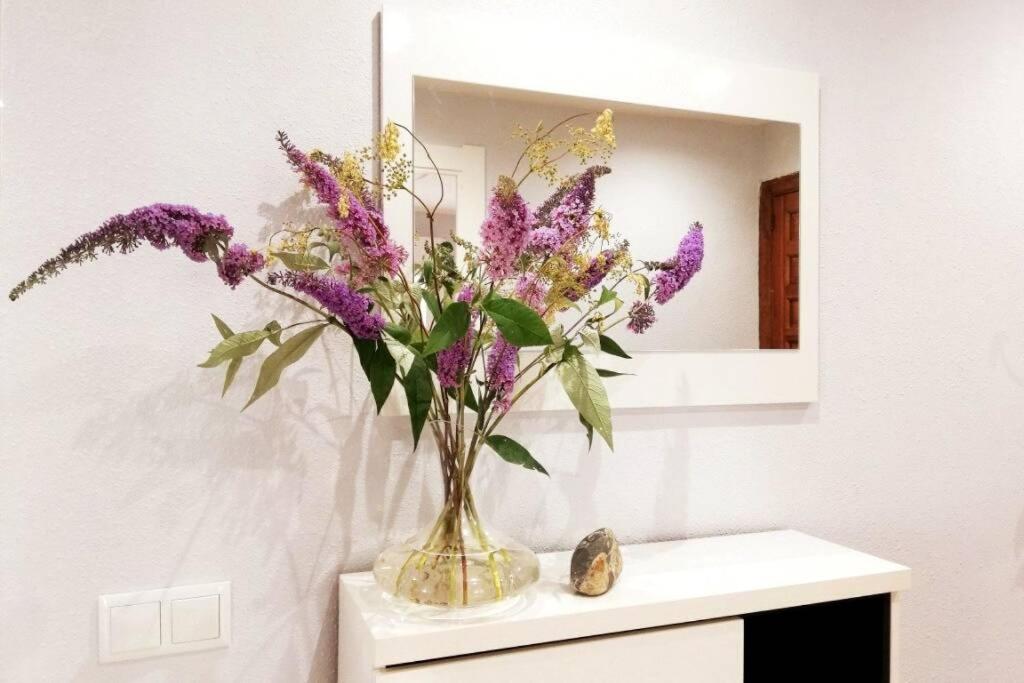 Kép COBEXO. Moderno y luminoso en el centro de Jaca szállásáról Jacában a galériában