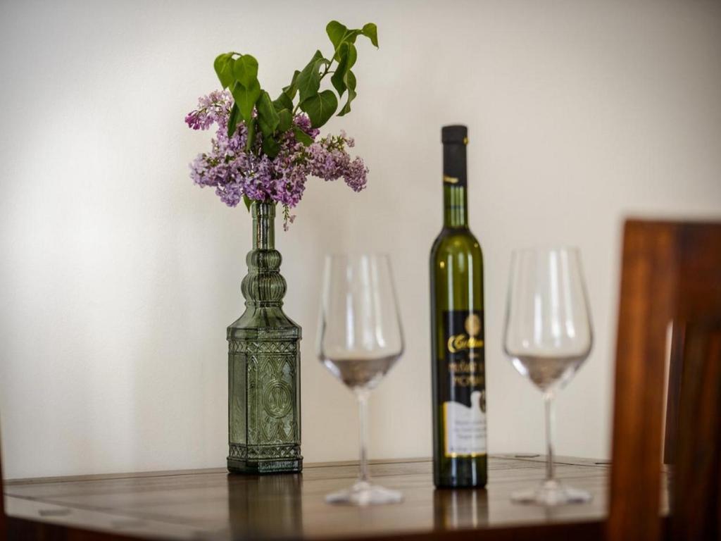 Apartments Franka Old Town - 7