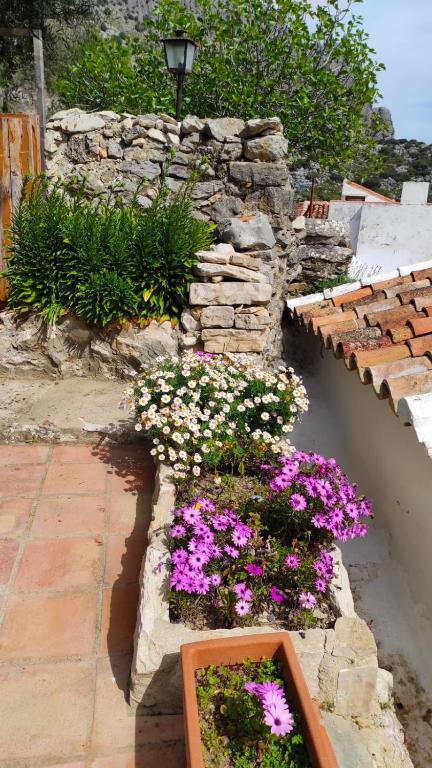 Zahrada ubytování Casa Cabra