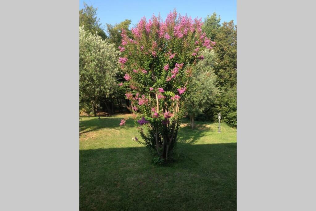 A garden outside Villa Belvedere-Con piscina a Bardolino