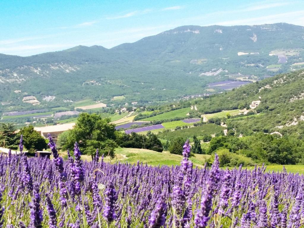 a field of purple flowers with mountains in the background at Holiday Home Le Cèdre - RSB100 by Interhome in Roche-Saint-Secret