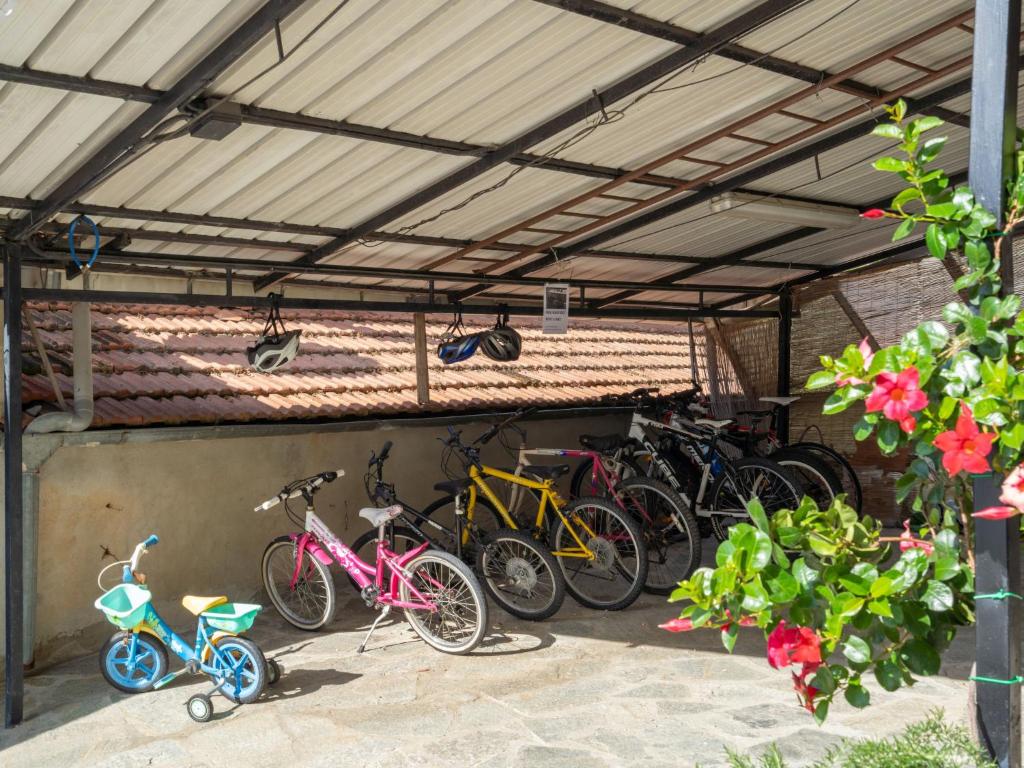 Kerékpározás Apartment Arancia - PTB153 by Interhome környékén