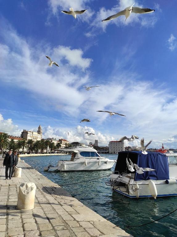 Príroda v okolí apartmánu