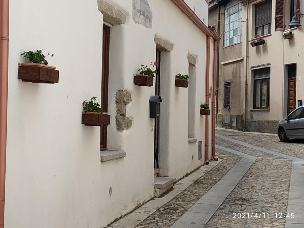 Okolí apartmánu