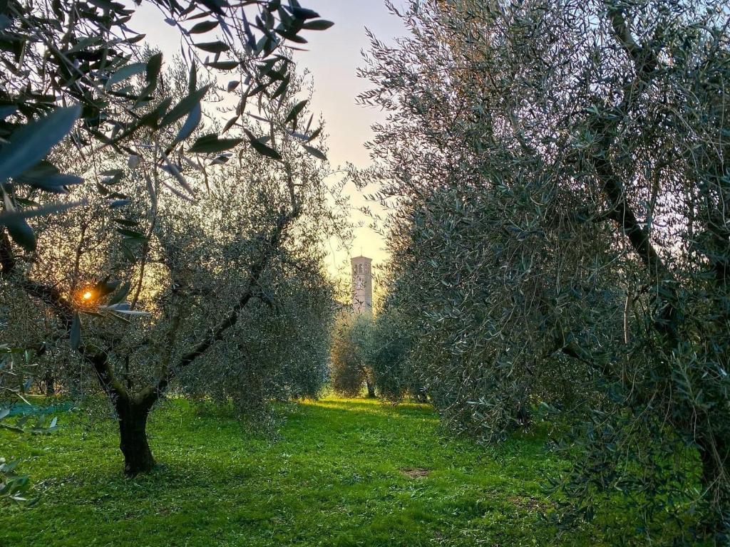Zahrada ubytování All'Antica Scuderia Del Castello