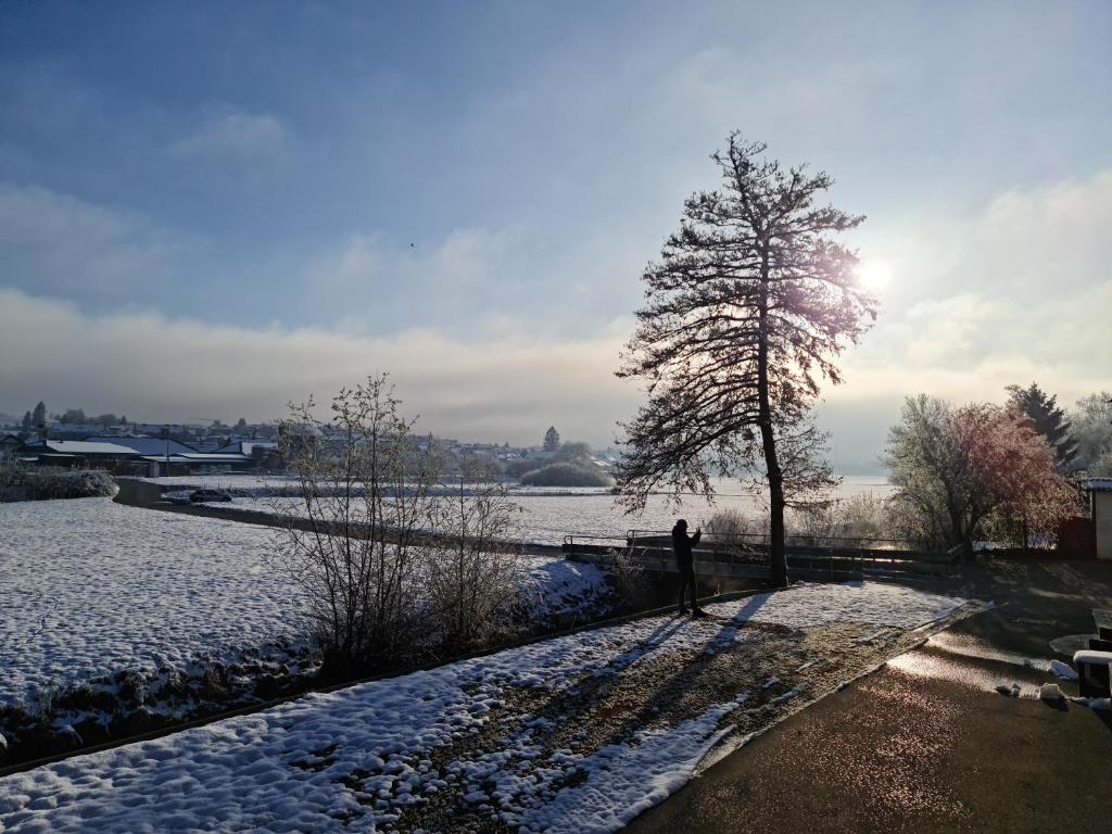 Příroda nedaleko apartmánu