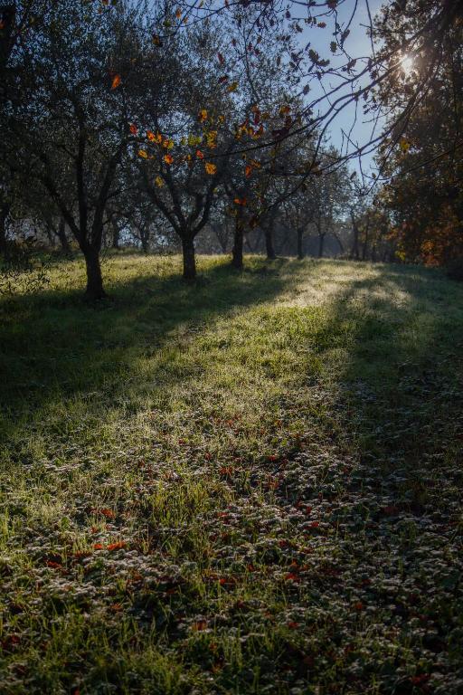 Zahrada ubytování Locanda agricola Posapiano