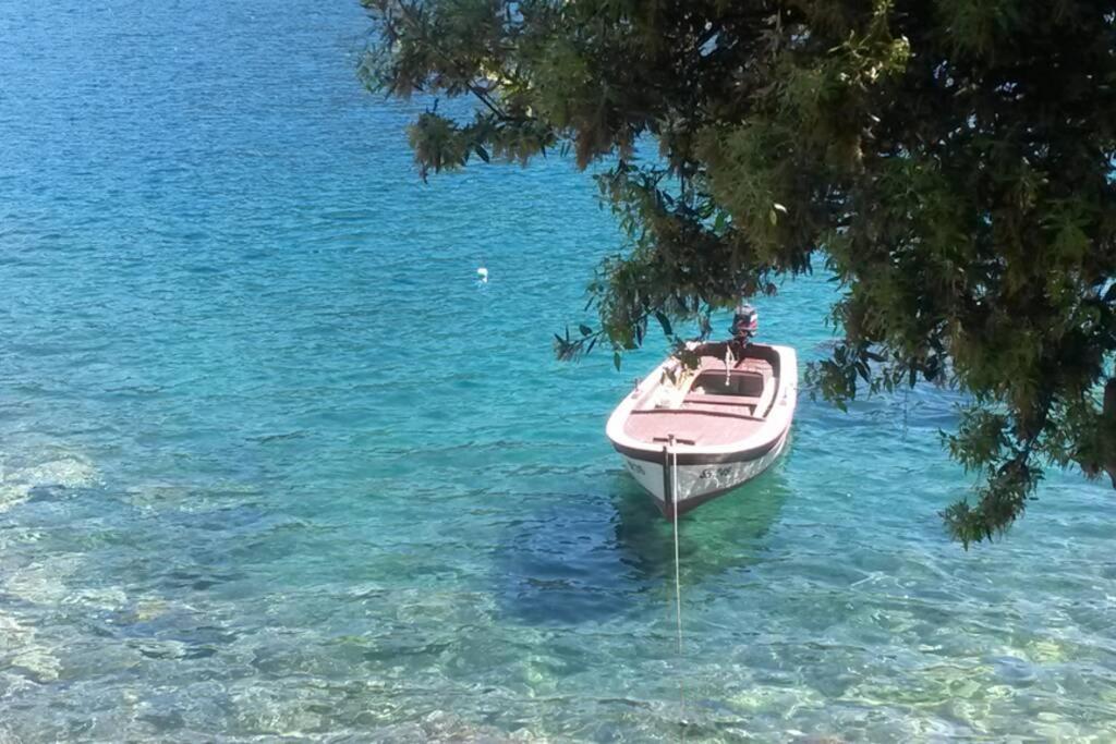 un petit bateau dans l'eau sous un arbre dans l'établissement Mljet 4 You - seafront apartment, à Sobra