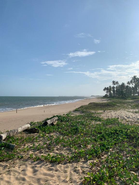  Praia do Forte BAHIA