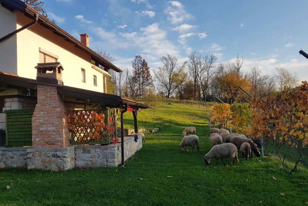 Gambar di galeri bagi Guest House Pinus di Generalski Stol