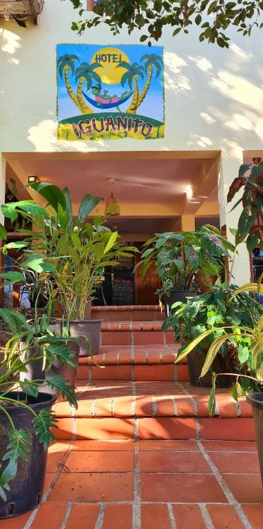 Fotografie z fotogalerie ubytování Hotel Iguanito v destinaci Santa Catalina