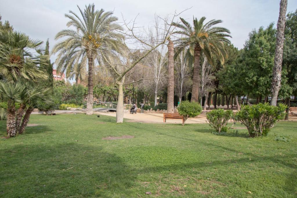 Zahrada ubytování Piso de diseño junto al centro de Murcia con parking