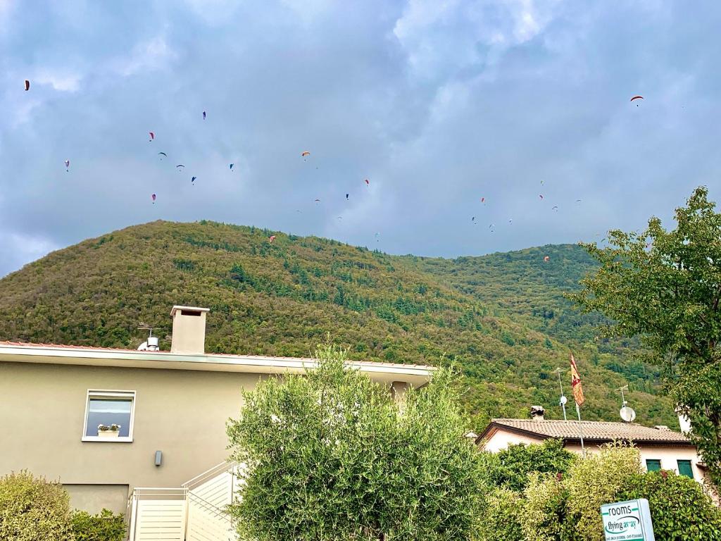 Flyingaway, Borso del Grappa – Updated 2024 Prices