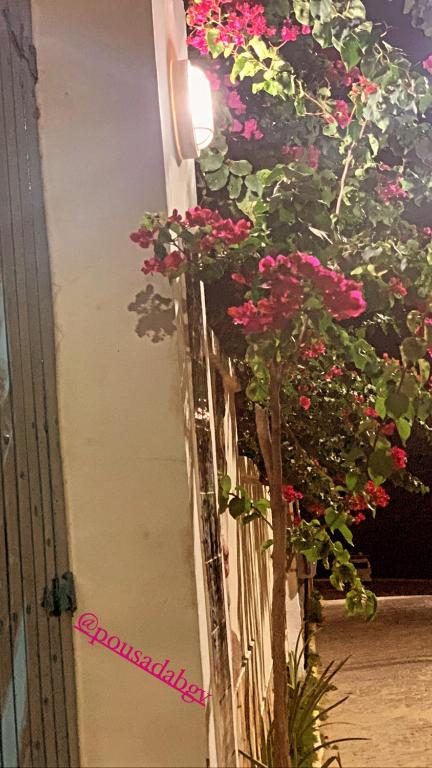  Bougainvillea Canoa Quebrada