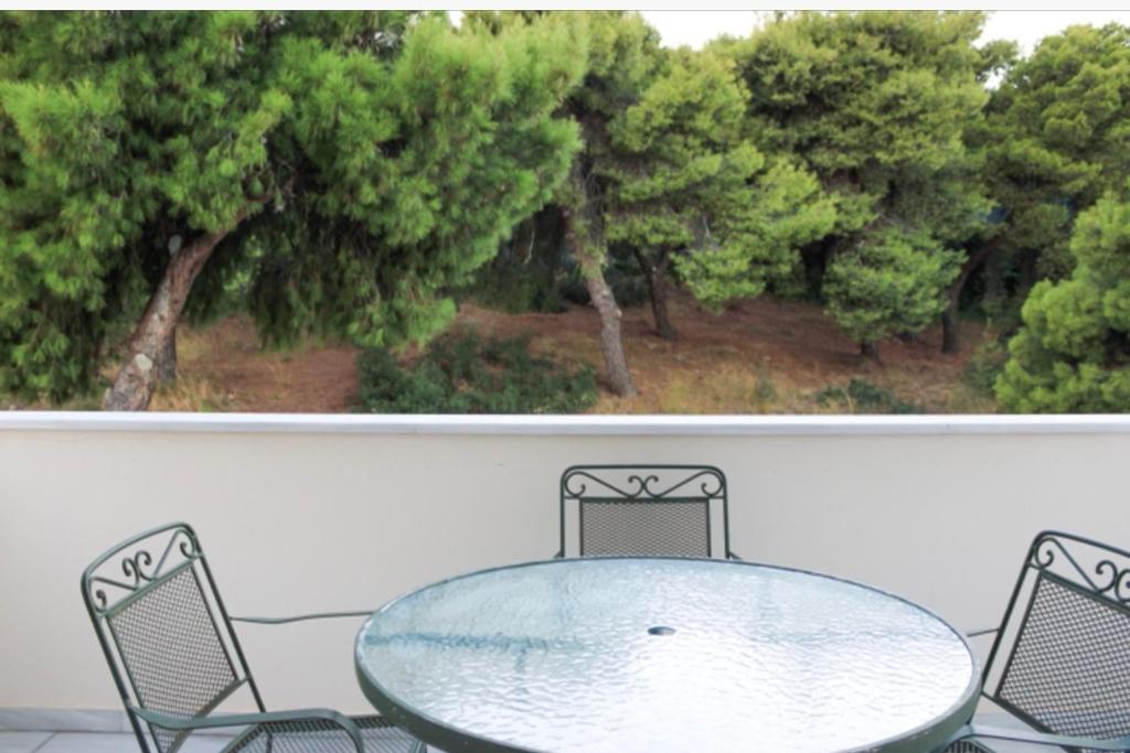 Zahrada ubytování Villa Ariadne