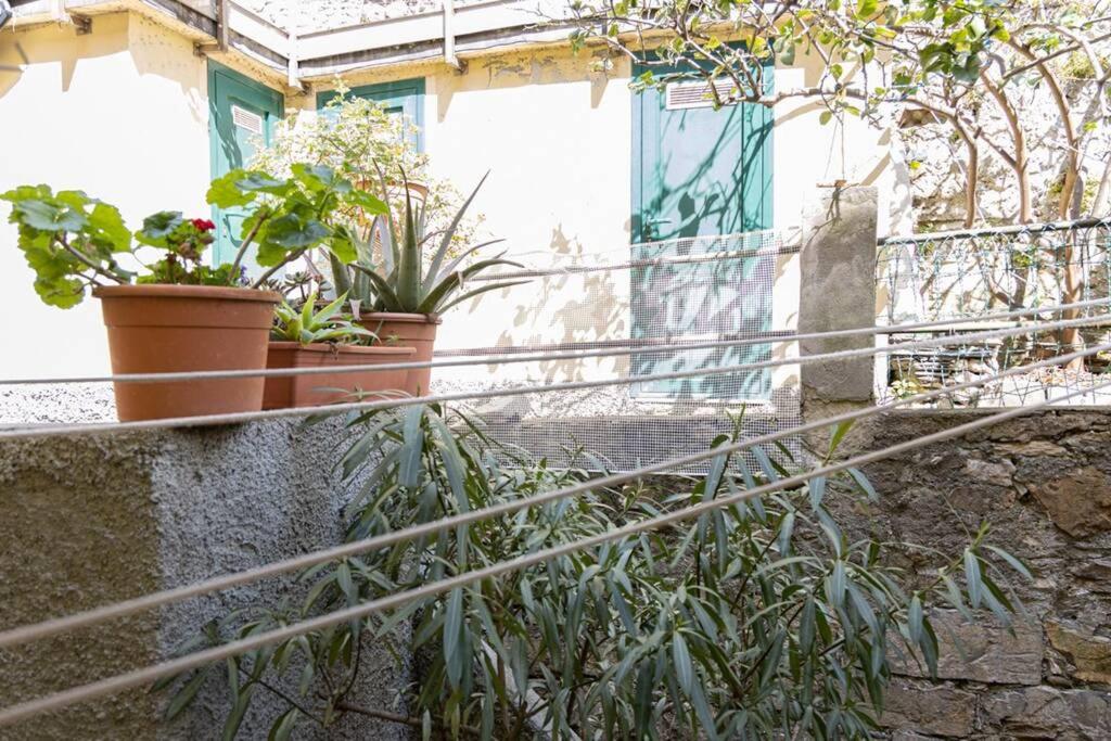 A garden outside Cinque Maggio Home Di fronte a spiaggia e Ospedale