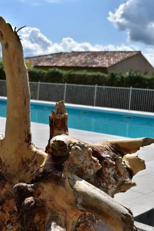 - la fermeture d'un arbre près d'une piscine dans l'établissement Coin tranquille à 2km de Saint-Florent, à Oletta