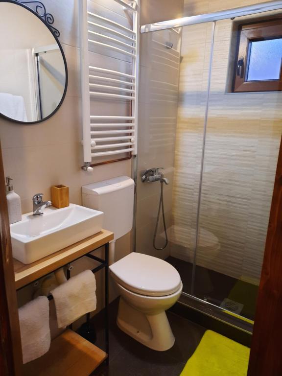 ein Bad mit einem WC, einem Waschbecken und einer Dusche in der Unterkunft Apartment Dea in Kolašin