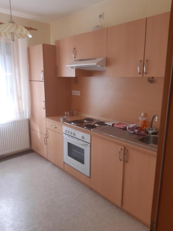 a kitchen with wooden cabinets and a stove top oven at Johannesbachklamm in Unterhöflein